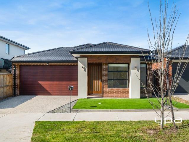 House for sale in Kingsfield, Melbourne