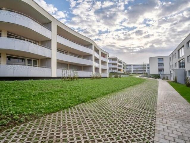 Apartment mieten in Beringen, Schaffhausen