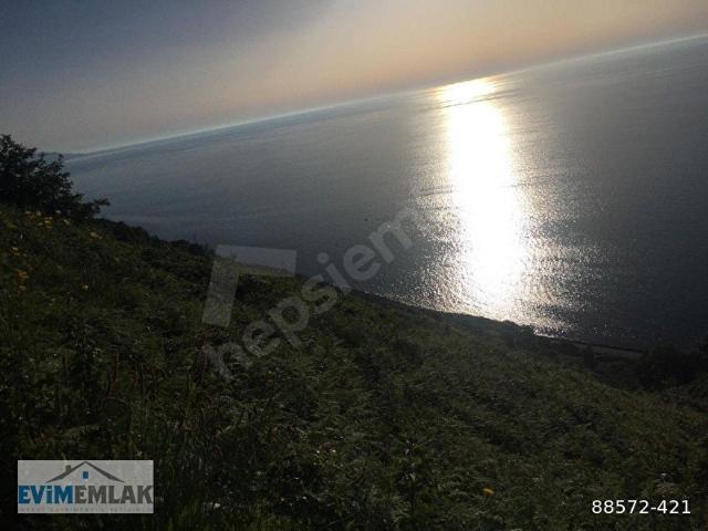 Rize içerisinde satılık mülk