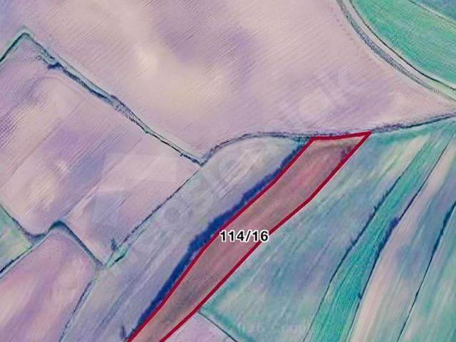 Saray, Tekirdağ içerisinde satılık Arsa