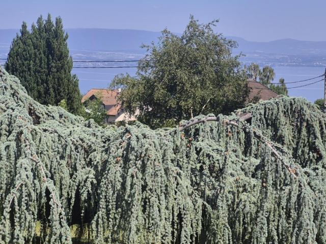 Maison vente à Thonon-les-Bains, Evian-les-bains