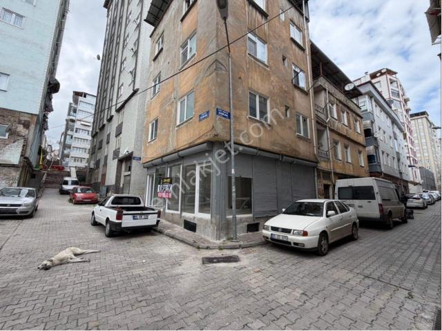 İlkadim, Samsun içerisinde kiralık mülk