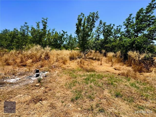 Köyceğiz, Muğla içerisinde satılık Arsa