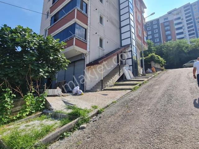 Ordu içerisinde kiralık mülk