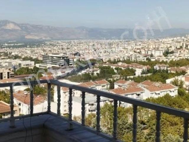 Siteler Mahallesi, Yıldırım içerisinde kiralık mülk