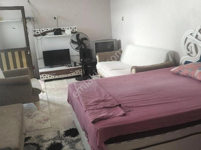 Milas, Muğla içerisinde kiralık mülk