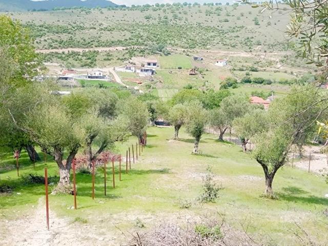 Manisa içerisinde satılık Arsa