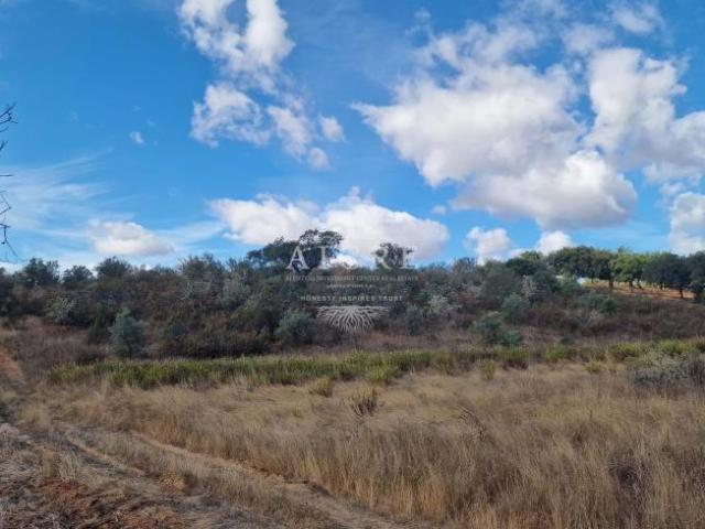 Terreno venda em Évora