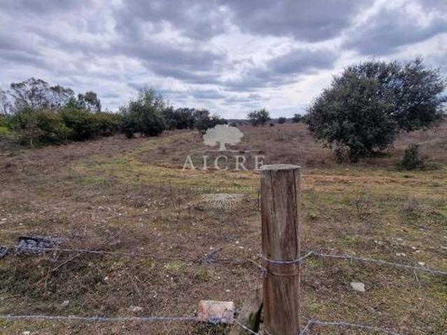 Terreno venda em Évora