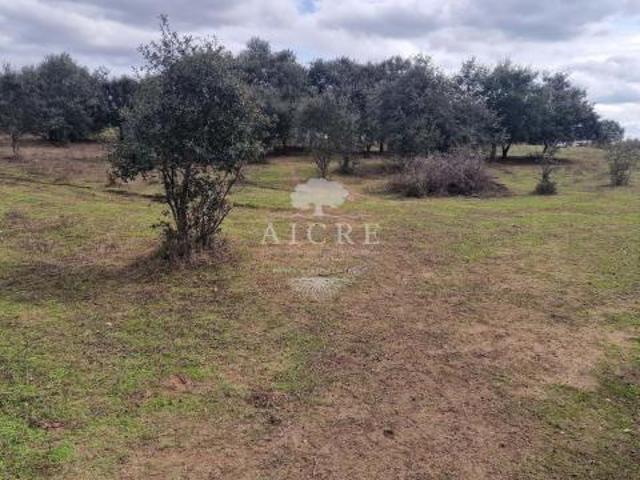 Terreno venda em Évora