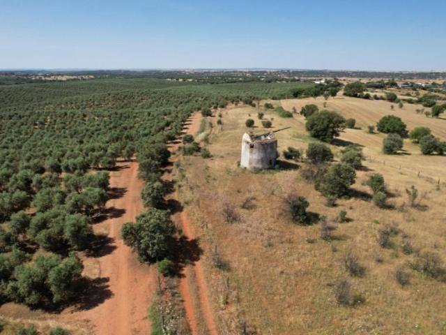Terreno venda em Évora
