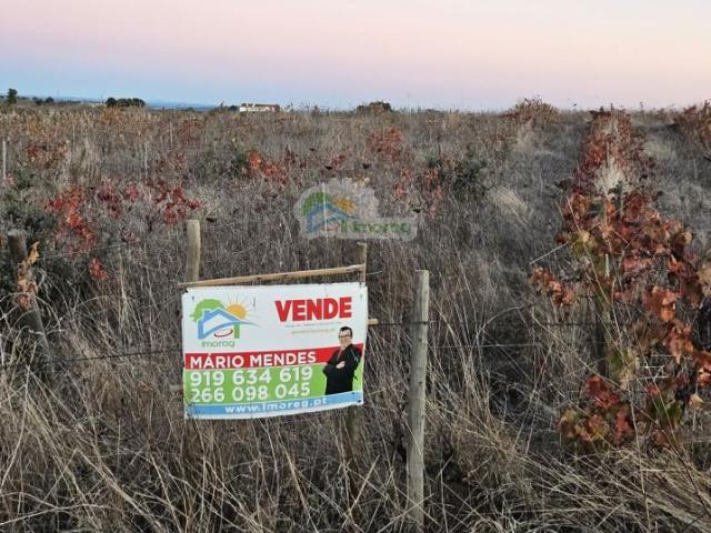 Terreno venda em Reguengos De Monsaraz, Évora