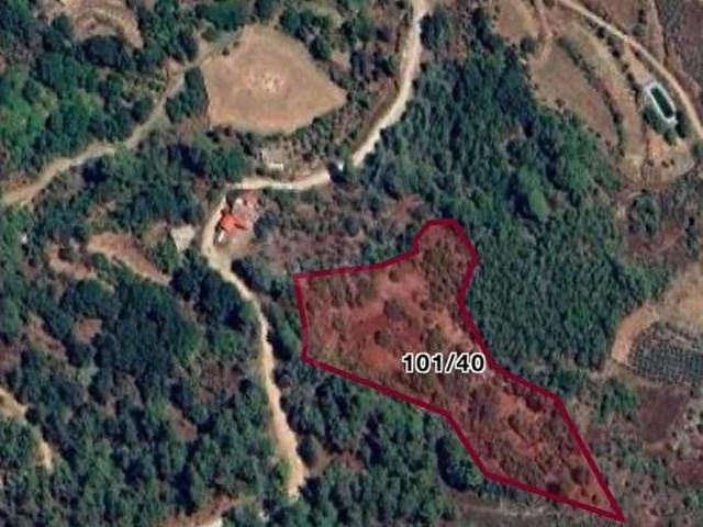 Sarıdana, Anamur içerisinde satılık Arsa