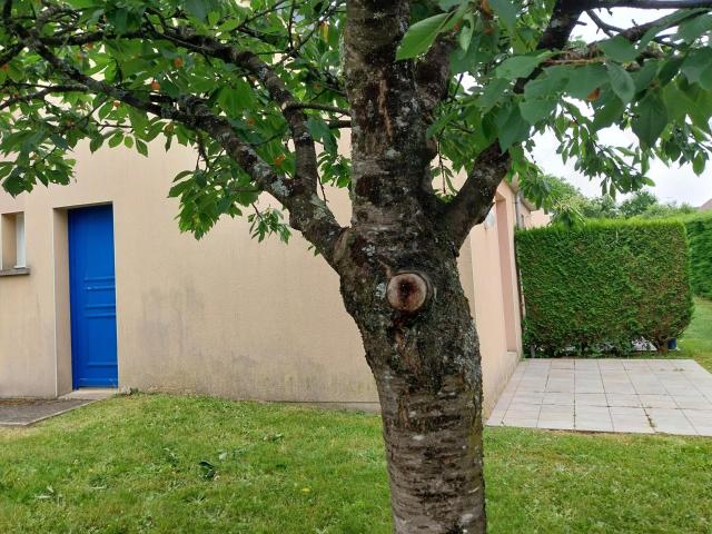 Appartement vente à Mayenne, Evron