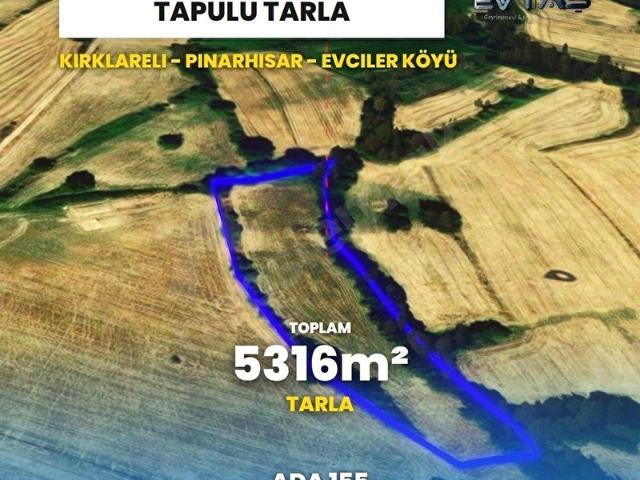 Pinarhisar, Kirklareli içerisinde satılık Arsa