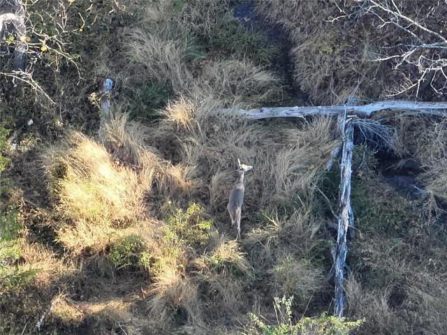 Land for sale in Seminole, Oklahoma
