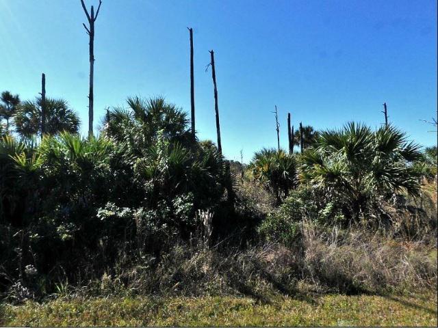 Land for sale in North Port, Florida
