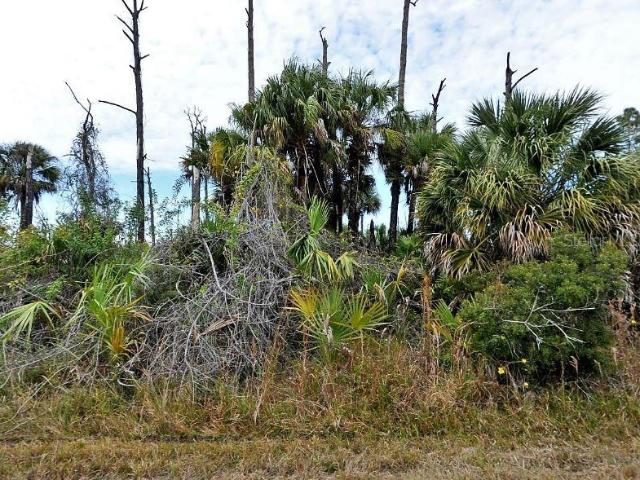 Land for sale in North Port, Florida