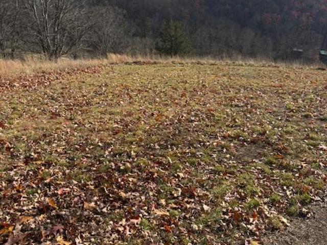 Land for sale in Hardy, West Virginia