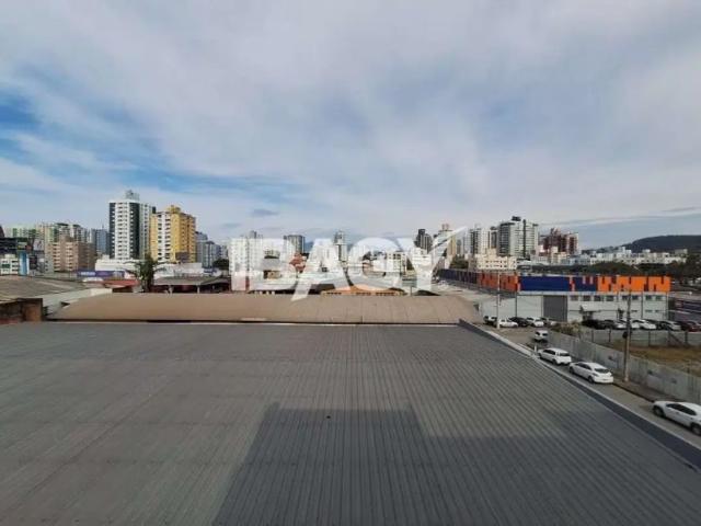 Apartamento aluguel em Campinas, São José