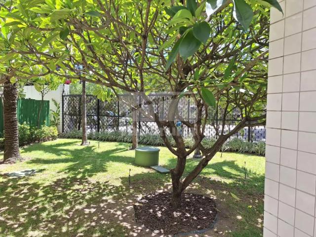 Apartamento aluguel em Região Geográfica Imediata do Recife, Região Metropolitana do Recife