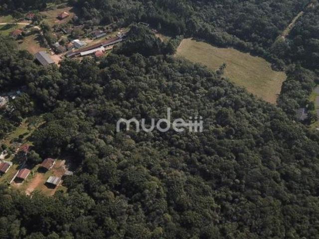 Sítio e chácara venda em Região Geográfica Imediata de Curitiba, Região Metropolitana de Curitiba