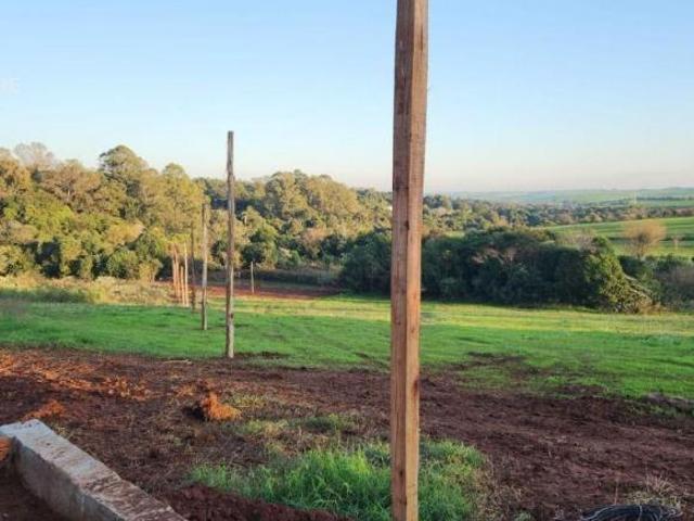 Sítio e chácara venda em Região Geográfica Imediata de Cruz Alta, Cruz Alta