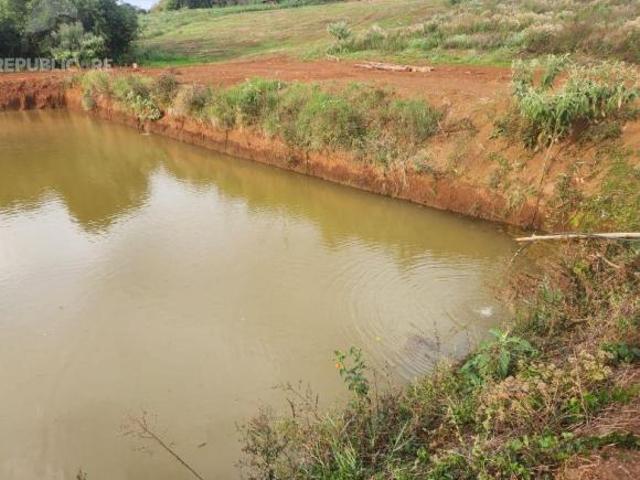 Sítio e chácara venda em Região Geográfica Imediata de Cruz Alta, Cruz Alta