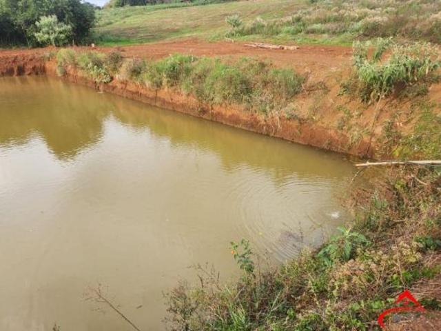 Sítio e chácara venda em Cruz Alta