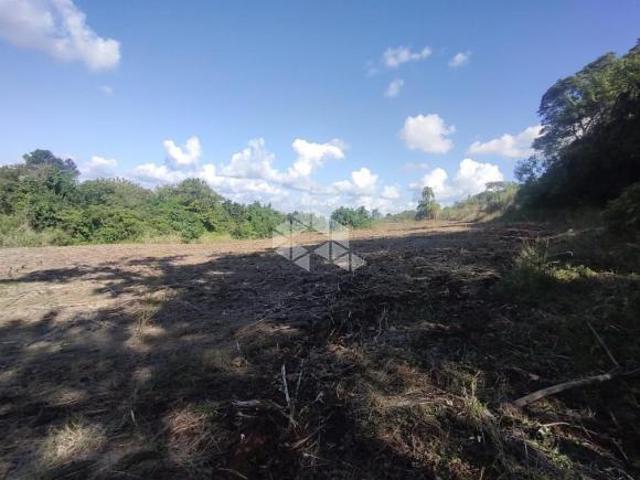 Sítio e chácara venda em Região Geográfica Imediata de Goiás - Itapuranga, Nova Crixás