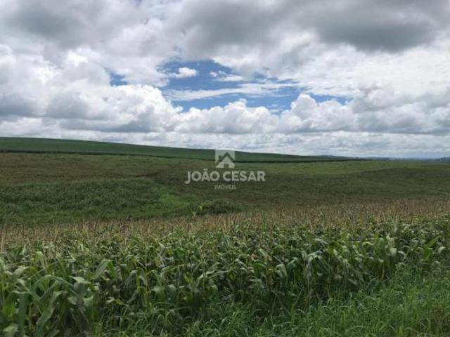 Sítio e chácara venda em Região Geográfica Imediata de Tapejara - Sananduva, Ibiaçá