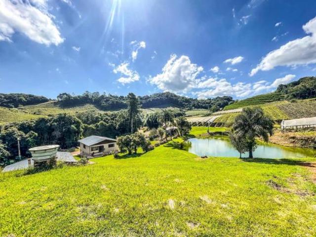 Sítio e chácara venda em São Pedro, Bento Gonçalves