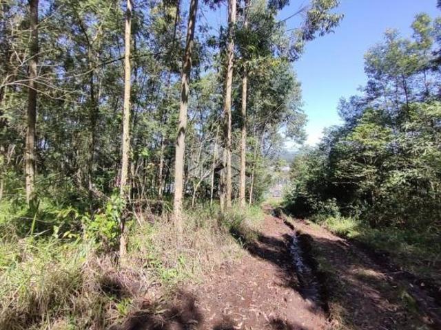 Terreno venda em Região Geográfica Imediata de Novo Hamburgo - São Leopoldo, Presidente Lucena
