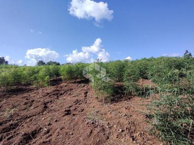 Terreno venda em Região Geográfica Imediata de Novo Hamburgo - São Leopoldo, Presidente Lucena
