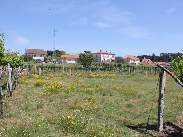 Terreno venda em Monção, Viana Do Castelo