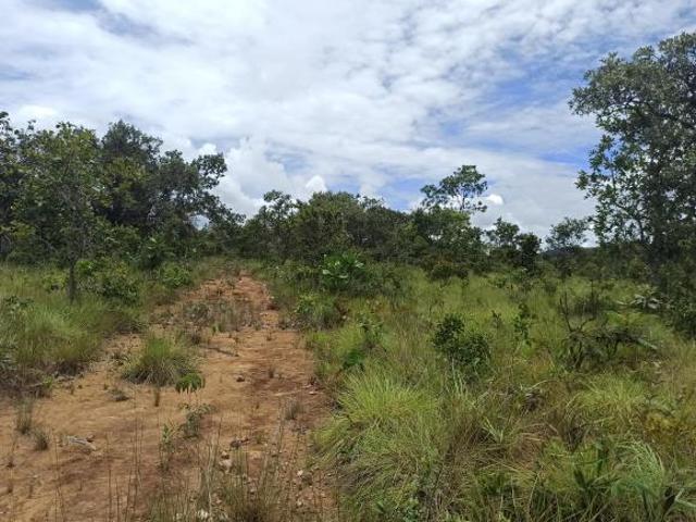 Sítio e chácara venda em Região Geográfica Imediata de Uruaçu - Niquelândia, Colinas do Sul