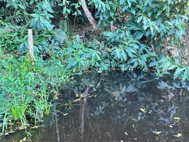 Sítio e chácara venda em Juquiá, Juquia