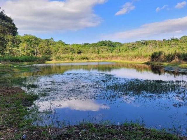Sítio e chácara venda em Região Imediata de Sorocaba, Região Metropolitana de Sorocaba