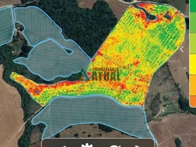 Sítio e chácara venda em Reserva, Região Geográfica Intermediária de Ponta Grossa