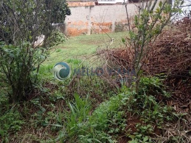 Terreno venda em Região Imediata de Ribeirão Preto, Região Metropolitana de Ribeirão Preto