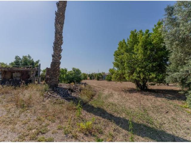 Casa en venta en Dones de les Palmes, el Baix Vinalopó