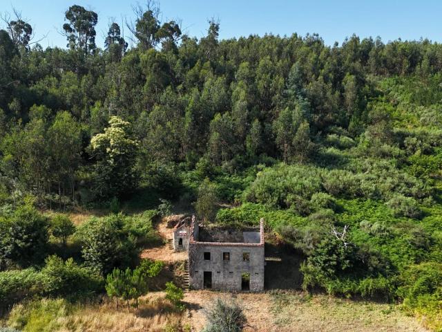 Casa venda em Nogueira Do Cravo, Coimbra