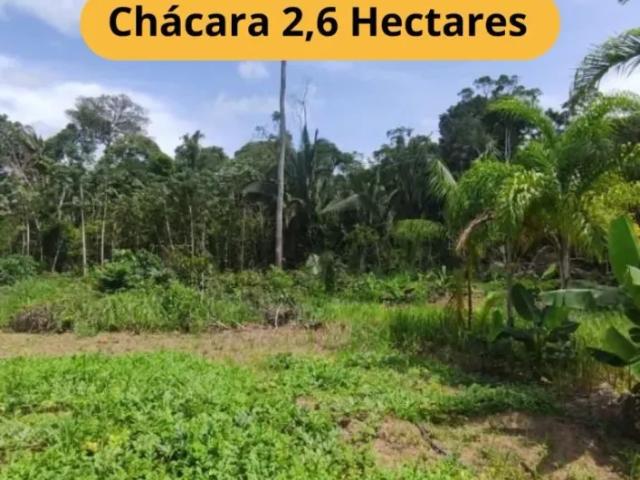 Fazenda venda em Região Geográfica Imediata de Porto Velho, Porto Velho