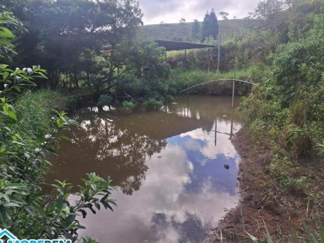 Sítio e chácara venda em Região Geográfica Imediata de Ipatinga, Região Metropolitana do Vale do Aço