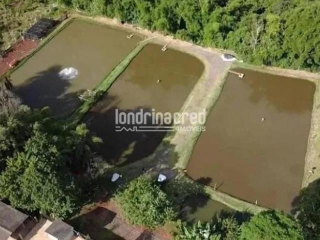 Sítio e chácara venda em Região Geográfica Imediata de Londrina, Cambé
