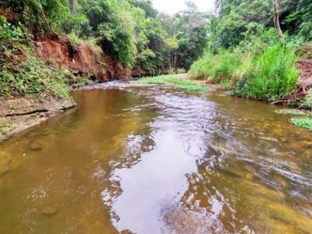 Sítio e chácara venda em Região Geográfica Imediata de Luziânia, Região Integrada de Desenvolvimento do Distrito Federal e Entorno