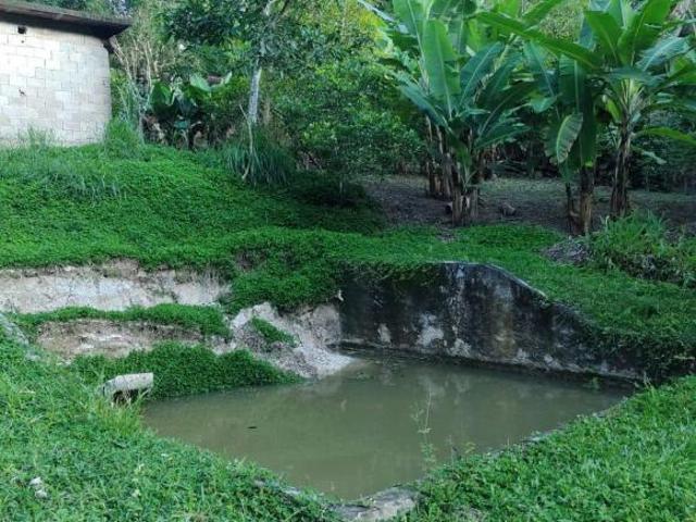 Sítio e chácara venda em Juquitiba, São Paulo
