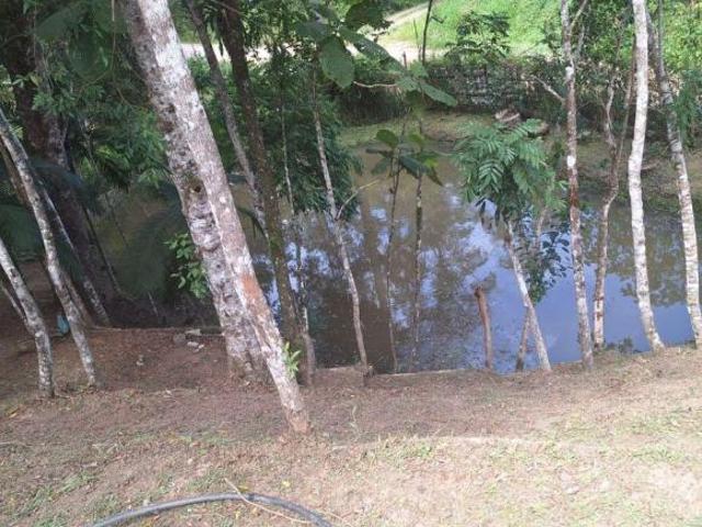 Sítio e chácara venda em Região Imediata de São Paulo, Região Metropolitana de São Paulo