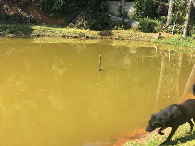 Sítio e chácara venda em Barnabés, Juquitiba