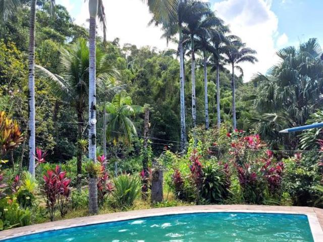 Sítio e chácara venda em Juquiá, Juquia